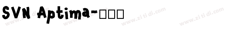 SVN Aptima字体转换